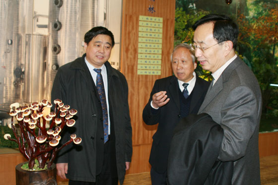 腾博会官网